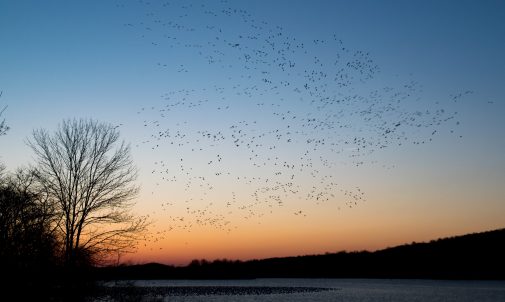 barth-bailey-RdBfug3OIis-unsplash barth-bailey-RdBfug3OIis-unsplash